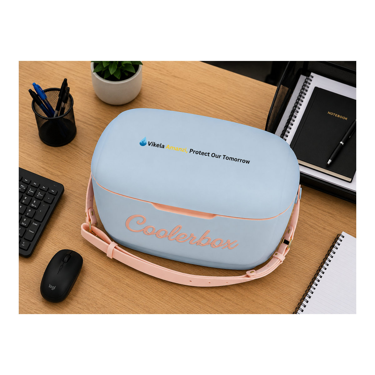 Branded cooler box